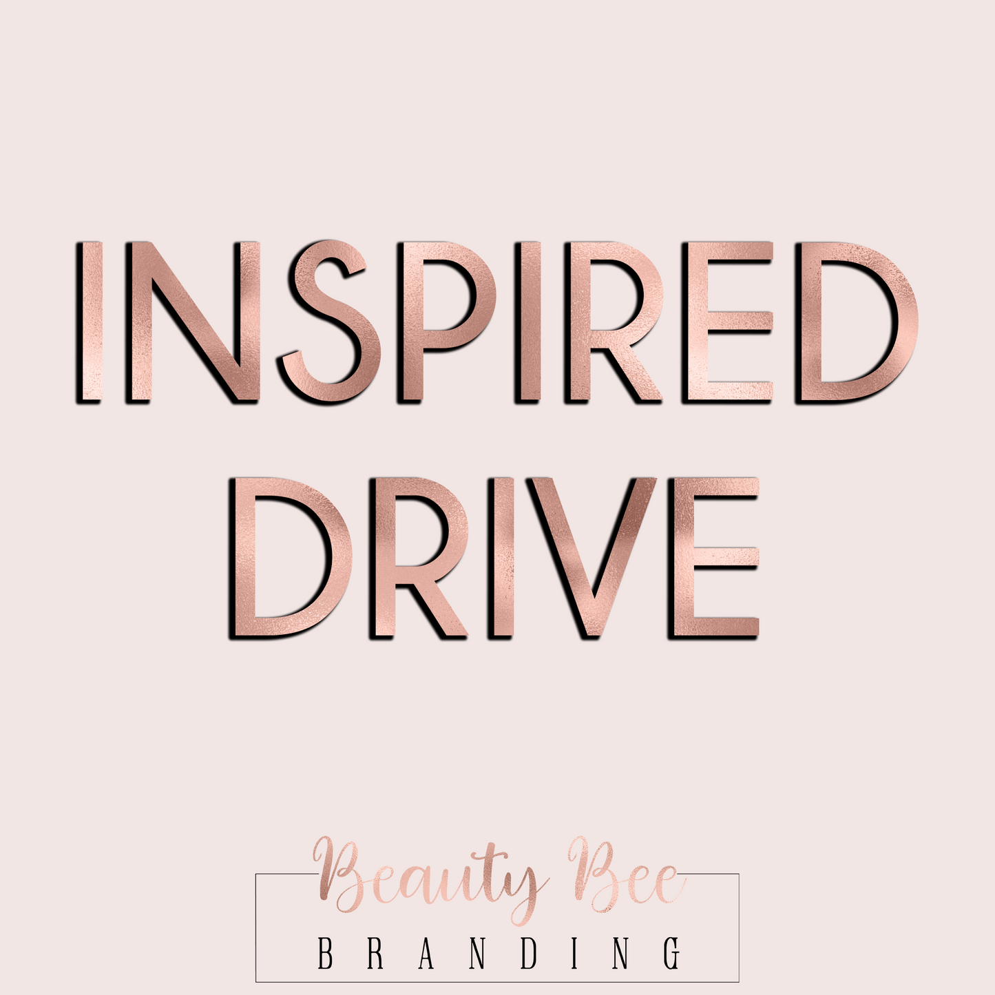 DRIVE ACCESS INSPIRED LIFETIME