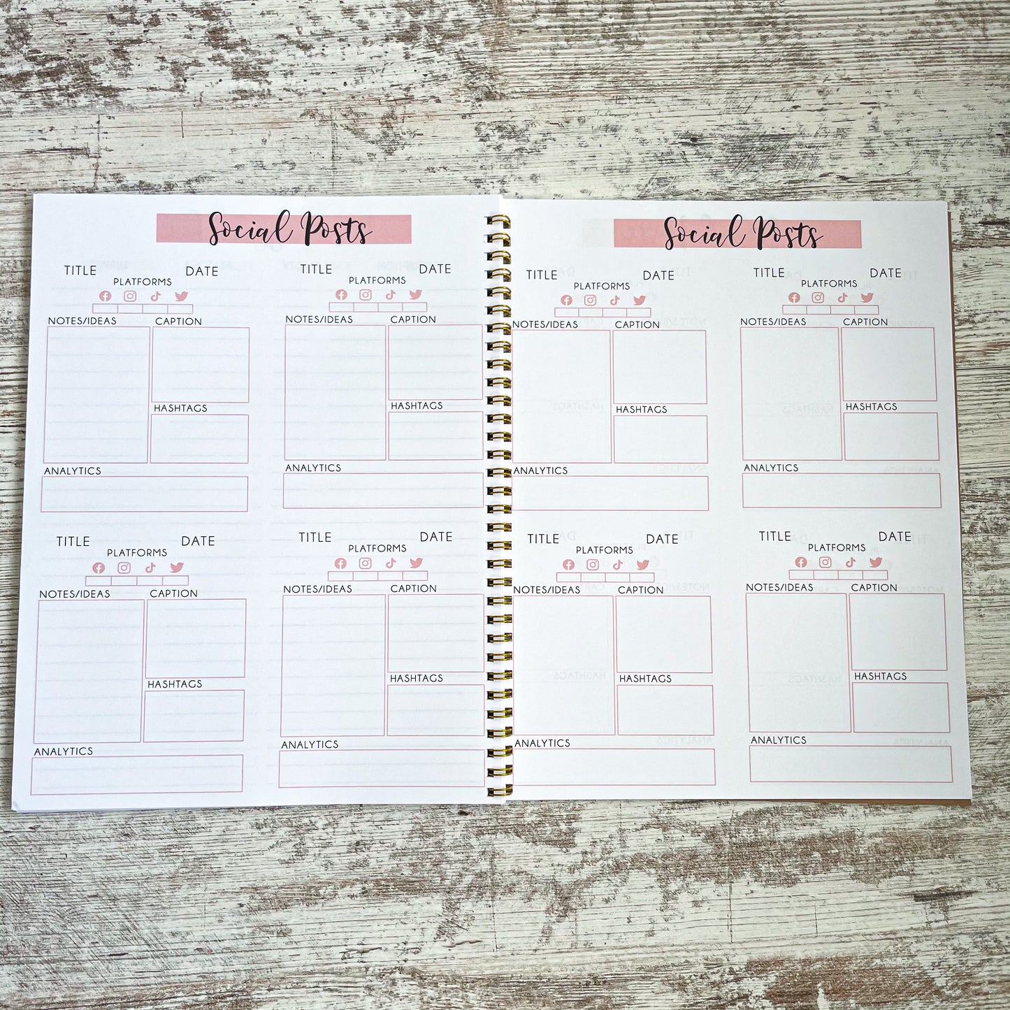 Spiral Six Month Boss Babe Business Book