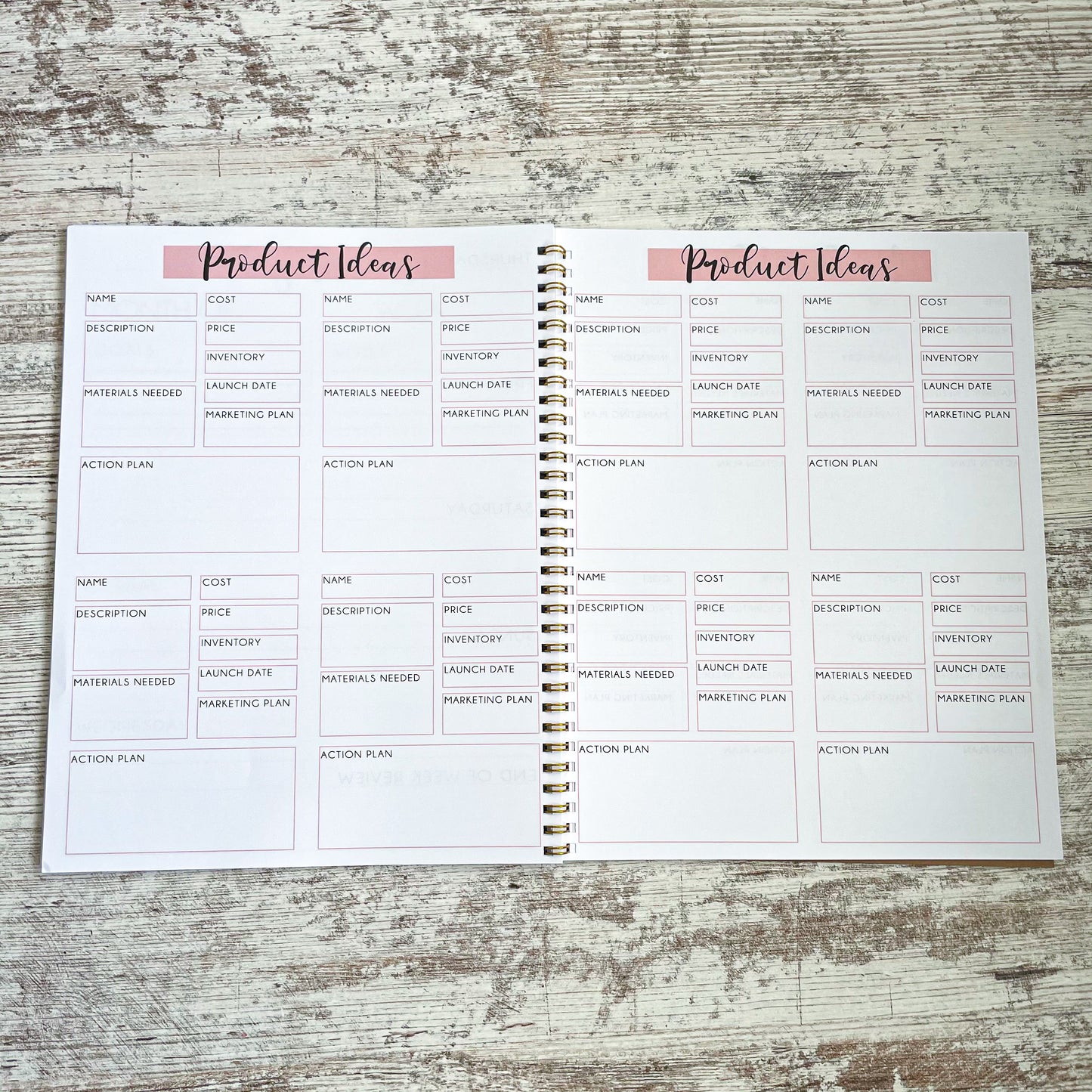 Spiral Six Month Boss Babe Business Book
